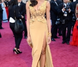 jbbr_oscar2013_tapete_vermelho_naomie_harris-5